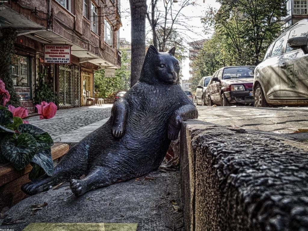 គន្លឹះសំរាប់អ្នកចាប់ផ្តើមដើម្បីទទួលបានជោគជ័យ